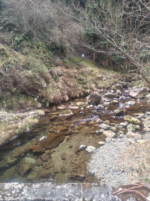 毎年恒例釣りキャンプ 広島市 ファミリーキャンプ フリーサイト HARUMAGEDONさんのキャンプブログ CAMPiii（キャンピー） -キャンプ専用SNS キャンプのすべてがここに集まる-