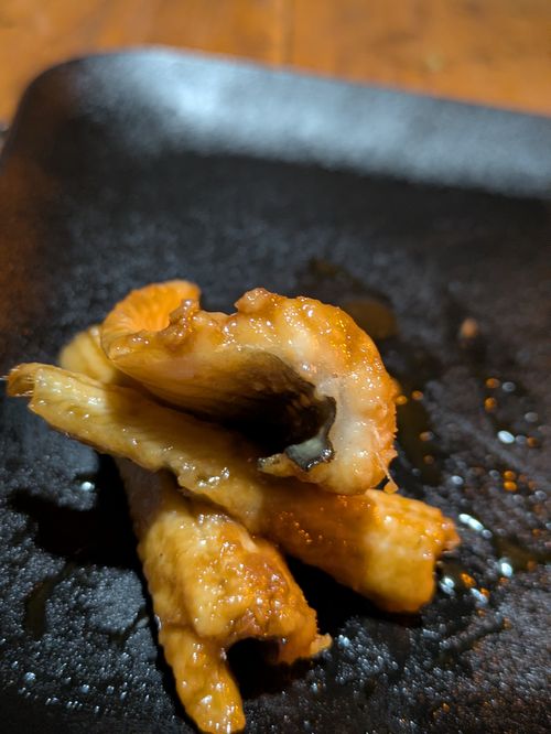 キャンプ納め 田万川キャンプ場 Kurikko-tomoさんのキャンプブログ CAMPiii（キャンピー） -キャンプ専用SNS キャンプのすべてがここに集まる-