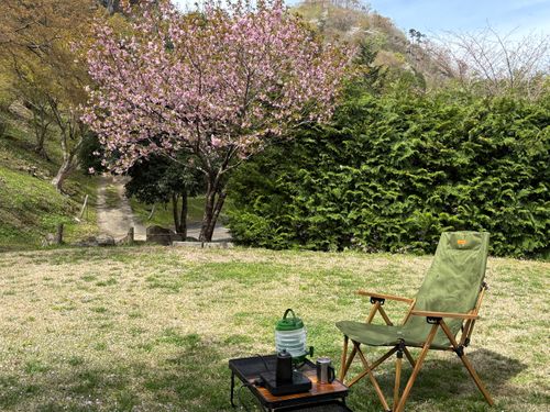 今年の桜は早かったキャンプ たびのCAMPING BASE 天守閣自然公園オートキャンプ場 ソロキャンプ 区画サイト やまなかさんのキャンプブログ CAMPiii（キャンピー） -キャンプ専用SNS キャンプのすべてがここに集まる-