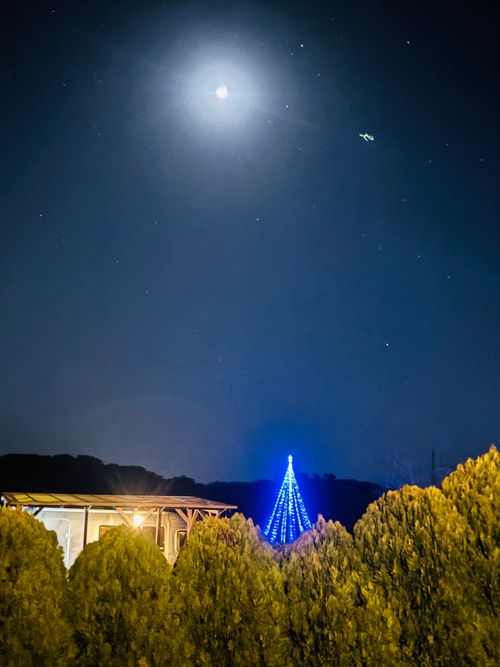 ２０回目のキャンプは🏕️ 淡路じゃのひれ オートキャンプ場 ファミリーキャンプ Kさんのキャンプブログ CAMPiii（キャンピー） -キャンプ専用SNS キャンプのすべてがここに集まる-