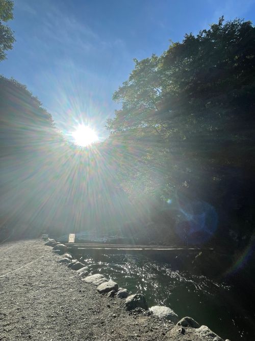全力中年、ふたたび 大渡キャンプ場 グループキャンプ 区画サイト もるがんさんのキャンプブログ CAMPiii（キャンピー） -キャンプ専用SNS キャンプのすべてがここに集まる-