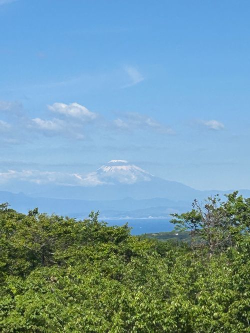前日宅呑み中🍺思いたっての低山ハイク🥾 大楠山 ソロキャンプ Genさんのキャンプブログ CAMPiii（キャンピー） -キャンプ専用SNS キャンプのすべてがここに集まる-
