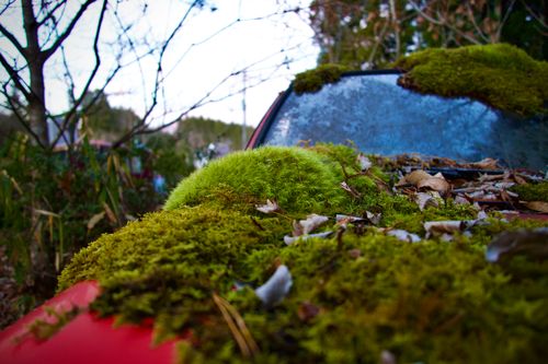 火の粉に泣いたソロキャンプ TAKIBIYA camp field ソロキャンプ 区画サイト yoshiさんのキャンプブログ CAMPiii（キャンピー） -キャンプ専用SNS キャンプのすべてがここに集まる-