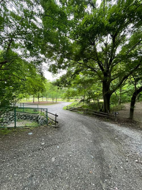 雨キャン！徒歩ソロで行く長瀞キャンプヴィレッジ！ ソロキャンプ 区画サイト ma9さんのキャンプブログ CAMPiii（キャンピー） -キャンプ専用SNS キャンプのすべてがここに集まる-