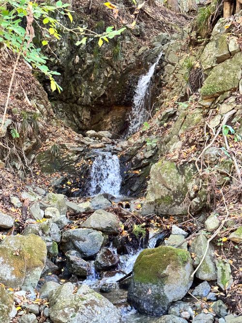 秋空の下、丸いものを食す WOODSMAN CAMPGROUND ファミリーキャンプ 区画サイト オートサイト EJIさんのキャンプブログ CAMPiii（キャンピー） -キャンプ専用SNS キャンプのすべてがここに集まる-