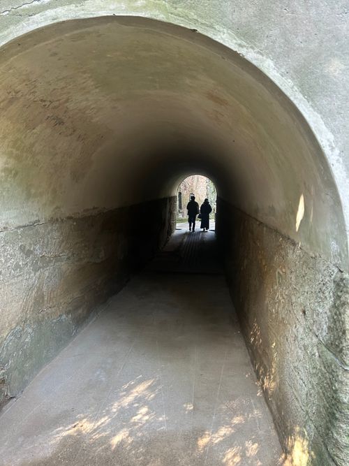 東京湾に残された唯一の自然島にてチェアリング 猿島 ソロキャンプ フリーサイト Genさんのキャンプブログ CAMPiii（キャンピー） -キャンプ専用SNS キャンプのすべてがここに集まる-