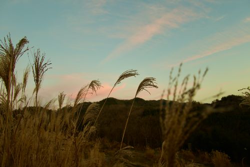 火の粉に泣いたソロキャンプ TAKIBIYA camp field ソロキャンプ 区画サイト yoshiさんのキャンプブログ CAMPiii（キャンピー） -キャンプ専用SNS キャンプのすべてがここに集まる-