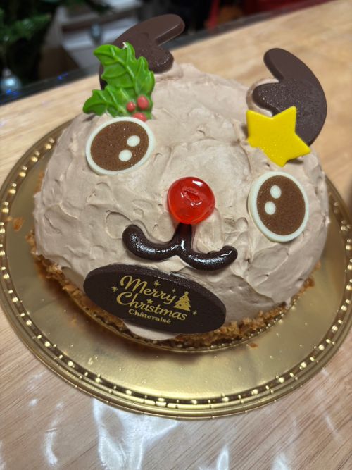 親子 de ポーランド合同演習 in小倉橋駐屯地 小倉橋下の河川敷 ファミリーキャンプ フリーサイト ウエィダーさんのキャンプブログ CAMPiii（キャンピー） -キャンプ専用SNS キャンプのすべてがここに集まる-