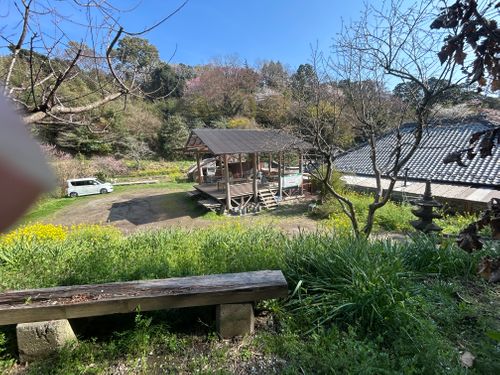 春うらら。千葉にゃんこ王国(^^) 花はなの里 グループキャンプ 区画サイト KOBApapaさんのキャンプブログ CAMPiii（キャンピー） -キャンプ専用SNS キャンプのすべてがここに集まる-