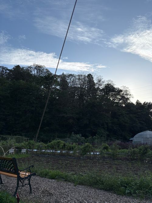 期間限定の独身✖︎読書🟰独書キャンプ🏕️ 奥州平泉温泉 そば庵 しづか亭 ソロキャンプ 区画サイト ぱぱちょさんのキャンプブログ CAMPiii（キャンピー） -キャンプ専用SNS キャンプのすべてがここに集まる-