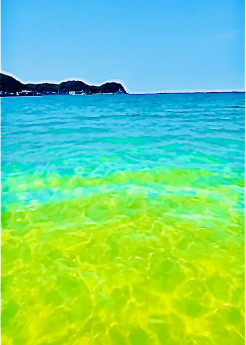 夏キャンプもそろそろ終わり？お盆明けのまた〜りおじ🐰キャン△ in 阿川ほうせんぐり海浜公園 〜 CAMP NO.208 阿川ほうせんぐり海浜公園 ソロキャンプ ファミリーキャンプ フリーサイト おじキャン△さんのキャンプブログ CAMPiii（キャンピー） -キャンプ専用SNS キャンプのすべてがここに集まる-