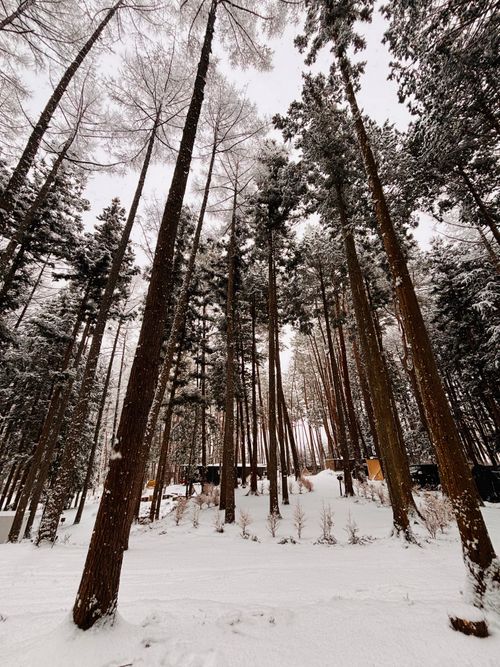 №72 オートキャンプFUJICHU ソロキャンプ 区画サイト 1711_Campさんのキャンプブログ CAMPiii（キャンピー） -キャンプ専用SNS キャンプのすべてがここに集まる-