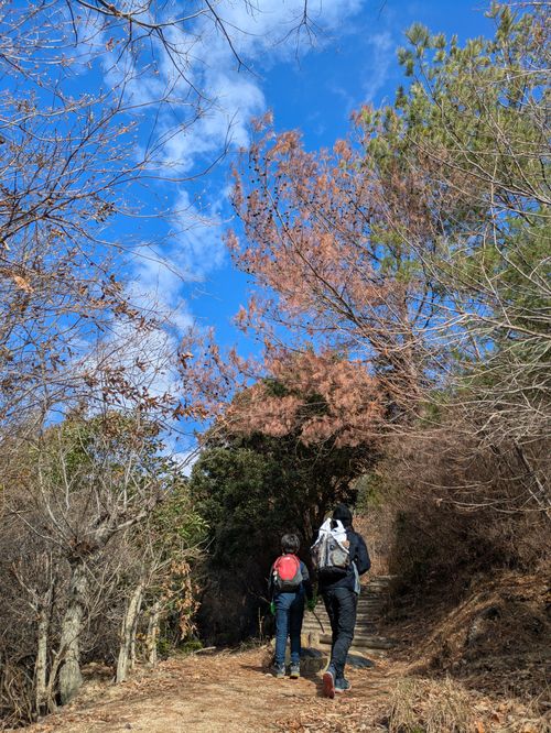 2025年締めキャンプ。ヤギと猫と魚と人生最高峰への決意。 ホシアカリ 波うち グループキャンプ 区画サイト NATSUさんのキャンプブログ CAMPiii（キャンピー） -キャンプ専用SNS キャンプのすべてがここに集まる-