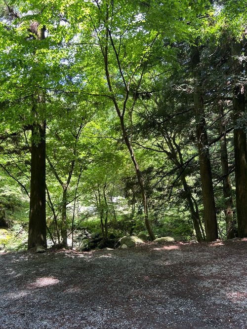 新緑キャンプ🏕 椿荘オートキャンプ場 ソロキャンプ 区画サイト Genさんのキャンプブログ CAMPiii（キャンピー） -キャンプ専用SNS キャンプのすべてがここに集まる-