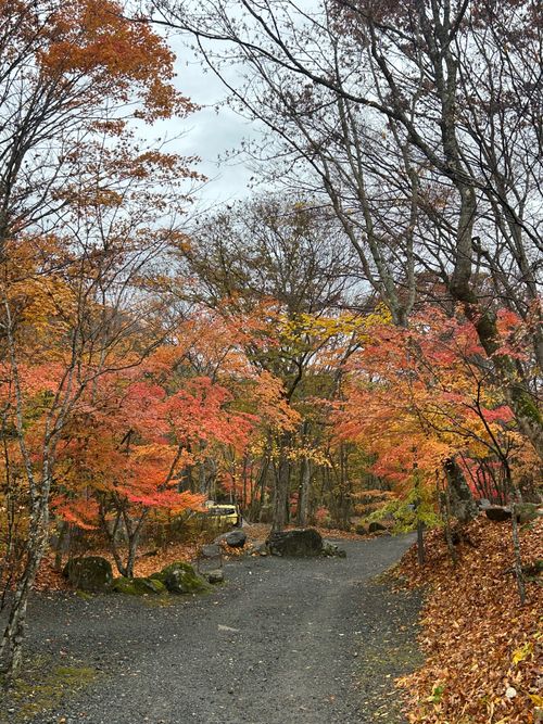 紅葉🍁キャンプ 山伏オートキャンプ場 ソロキャンプ グループキャンプ 区画サイト Genさんのキャンプブログ CAMPiii（キャンピー） -キャンプ専用SNS キャンプのすべてがここに集まる-