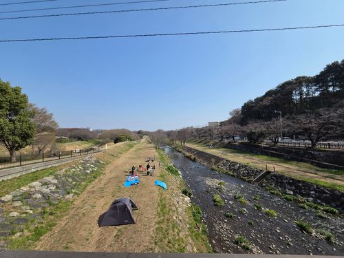 オッサン、清瀬に帰る 清瀬金山緑地公園 ソロキャンプ フリーサイト やんさんのキャンプブログ CAMPiii（キャンピー） -キャンプ専用SNS キャンプのすべてがここに集まる-