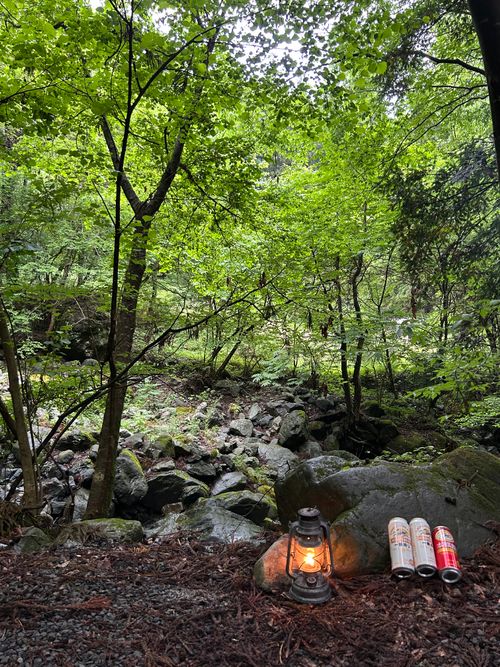 新緑キャンプ🏕 椿荘オートキャンプ場 ソロキャンプ 区画サイト Genさんのキャンプブログ CAMPiii（キャンピー） -キャンプ専用SNS キャンプのすべてがここに集まる-