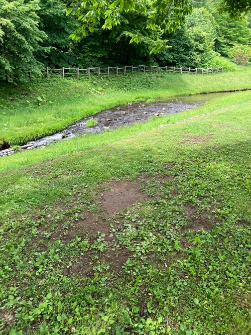 久しぶりの長万部公園キャンプ場 ソロキャンプ フリーサイト siroさんのキャンプブログ CAMPiii（キャンピー） -キャンプ専用SNS キャンプのすべてがここに集まる-