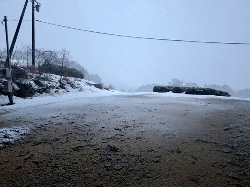 新年雪中デビュー⛄️❄️🌨🏔️@前編 閑乗寺公園 第2キャンプ場 ファミリーキャンプ 区画サイト オートサイト ぐうたら夫婦さんのキャンプブログ CAMPiii（キャンピー） -キャンプ専用SNS キャンプのすべてがここに集まる-