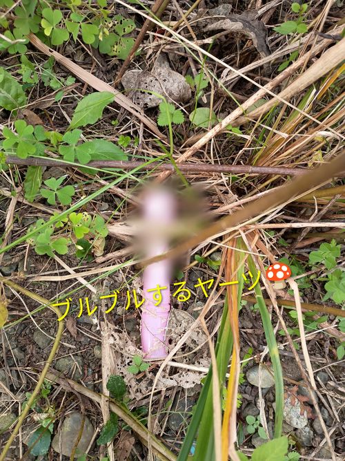 ルーマニア軍deおでん 神川橋 ソロキャンプ フリーサイト ウエィダーさんのキャンプブログ CAMPiii（キャンピー） -キャンプ専用SNS キャンプのすべてがここに集まる-