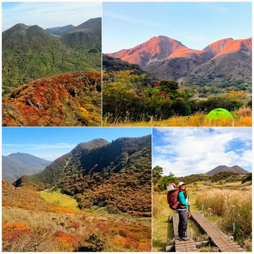 秋満喫ベスト4🍁🍂キャンプと登山とChatGPT 坊ガツル グループキャンプ フリーサイト NATSUさんのキャンプブログ CAMPiii（キャンピー） -キャンプ専用SNS キャンプのすべてがここに集まる-