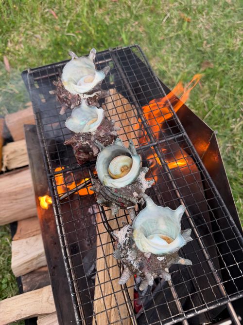 2026GW遠征キャンプ@山口 痛風編 伊上海浜公園オートキャンプ場 ファミリーキャンプ オートサイト ぐうたら夫婦さんのキャンプブログ CAMPiii（キャンピー） -キャンプ専用SNS キャンプのすべてがここに集まる-