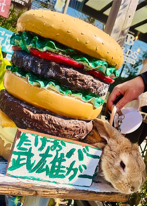 『笑門来福』笑って過ごそう♫福笑いおじおばうさキャン△ in ONDCAMP 〜 CAMP NO.179 OND CAMP ファミリーキャンプ グループキャンプ フリーサイト おじキャン△さんのキャンプブログ CAMPiii（キャンピー） -キャンプ専用SNS キャンプのすべてがここに集まる-