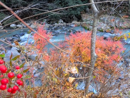 日本一のデイキャン？ 大阪府 ソロキャンプ フリーサイト ぞのさんさんのキャンプブログ CAMPiii（キャンピー） -キャンプ専用SNS キャンプのすべてがここに集まる-