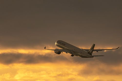 全国旅キャンプ第13弾は三重編 三重県 ソロキャンプ ファミリーキャンプ グループキャンプ フリーサイト 区画サイト オートサイト ENJOY THE OUTDOORSさんのキャンプブログ CAMPiii（キャンピー） -キャンプ専用SNS キャンプのすべてがここに集まる-