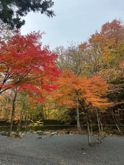 紅葉🍁キャンプ 山伏オートキャンプ場 ソロキャンプ グループキャンプ 区画サイト Genさんのキャンプブログ CAMPiii（キャンピー） -キャンプ専用SNS キャンプのすべてがここに集まる-