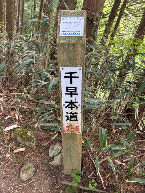 登山デビュー(テント泊付き) 金剛山 ソロキャンプ 区画サイト △kuuga△さんのキャンプブログ CAMPiii（キャンピー） -キャンプ専用SNS キャンプのすべてがここに集まる-