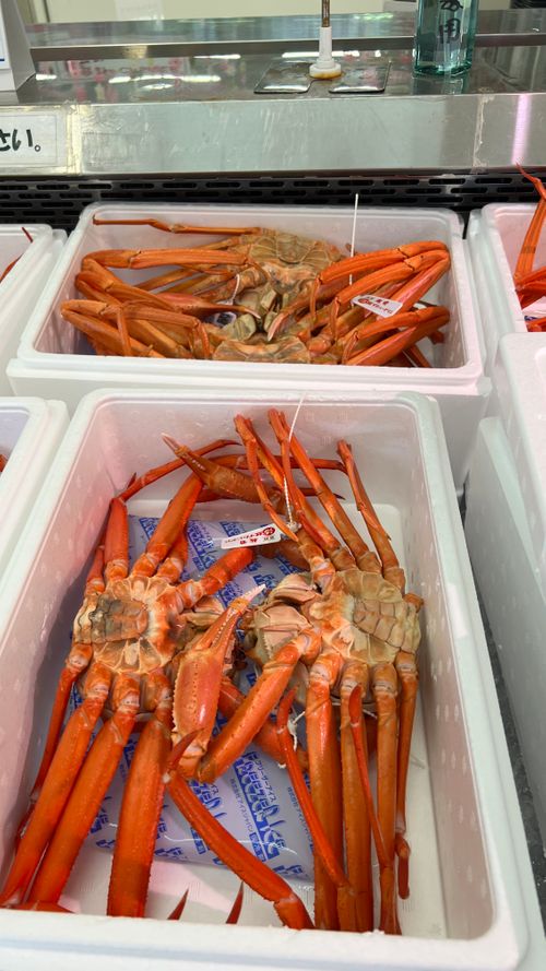 CAMPiii（キャンピー） b_c.a.m.p （KABUTO 改め）さんのキャンプブログ 真夏のキャンプ　福井キャンプ　〜2-Night Camping Trip〜 オーシャンズ | オートキャンプ場・RVパーク・ドッグラン