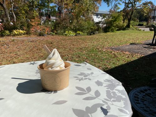 貸し切りすぎ、気持ち良すぎ、カメムシいすぎ North Village Hirugano - Camping Fields ファミリーキャンプ オートサイト 区画サイト りょっちーさんのキャンプブログ CAMPiii（キャンピー） -キャンプ専用SNS キャンプのすべてがここに集まる-