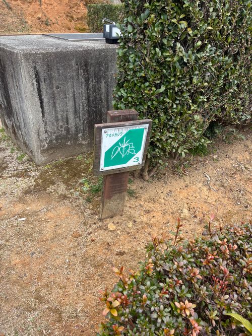 2026年4回目、桜開花直前キャン🌸 憩いの森公園 ファミリーキャンプ 区画サイト オートサイト わいげさんのキャンプブログ CAMPiii（キャンピー） -キャンプ専用SNS キャンプのすべてがここに集まる-