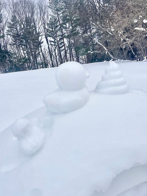 念願の雪中⛄️おじおばうさキャン△ in 板木まきばの里キャンプ場 〜 CAMP NO.173 小板まきばの里キャンプ場 ファミリーキャンプ グループキャンプ 区画サイト おじキャン△さんのキャンプブログ CAMPiii（キャンピー） -キャンプ専用SNS キャンプのすべてがここに集まる-