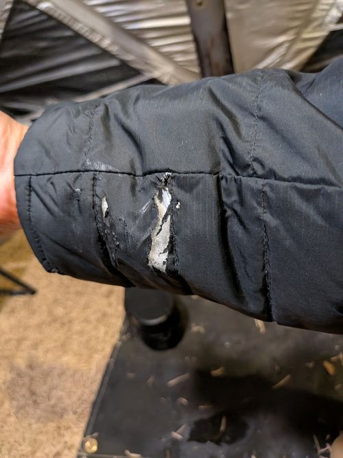 イワナの唐揚げが食いたくて いわなの郷キャンプ場 ソロキャンプ フリーサイト 俺の酒場は野にあるさんのキャンプブログ CAMPiii（キャンピー） -キャンプ専用SNS キャンプのすべてがここに集まる-