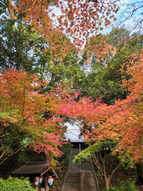 宍粟市 福知 MONJUNO FUKUCHI 福知自治会デイキャンプ場 ソロキャンプ 区画サイト たんさんのキャンプブログ CAMPiii(キャンピー) -キャンプ専用SNS キャンプのすべてがここに集まる-