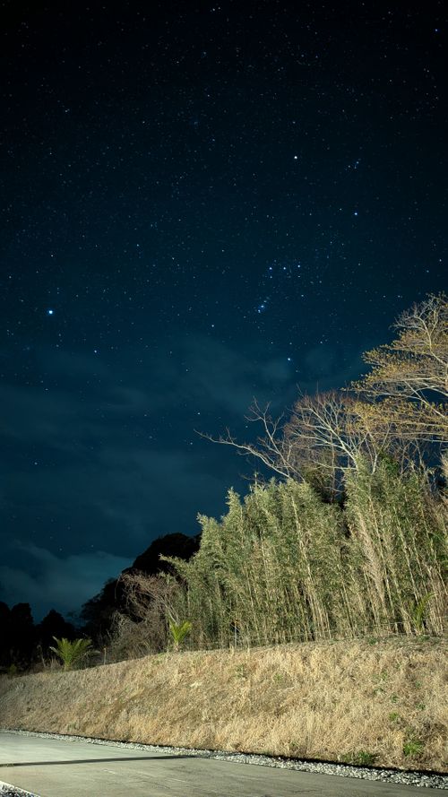 おひさしぶりです！No.44 South One Village 館山 ソロキャンプ 区画サイト すーつさんのキャンプブログ CAMPiii（キャンピー） -キャンプ専用SNS キャンプのすべてがここに集まる-