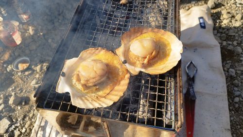富士五湖へ 西湖 グループキャンプ フリーサイト オートサイト ひつじさんのキャンプブログ CAMPiii(キャンピー) -キャンプ専用SNS キャンプのすべてがここに集まる-