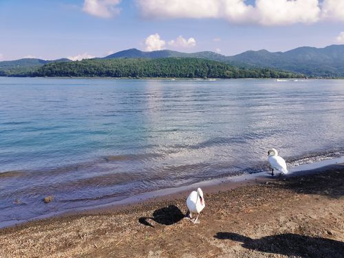 夕日と白鳥と富士山と 湖山荘キャンプ場 ファミリーキャンプ 区画サイト オートサイト まささんのキャンプブログ CAMPiii(キャンピー) -キャンプ専用SNS キャンプのすべてがここに集まる-