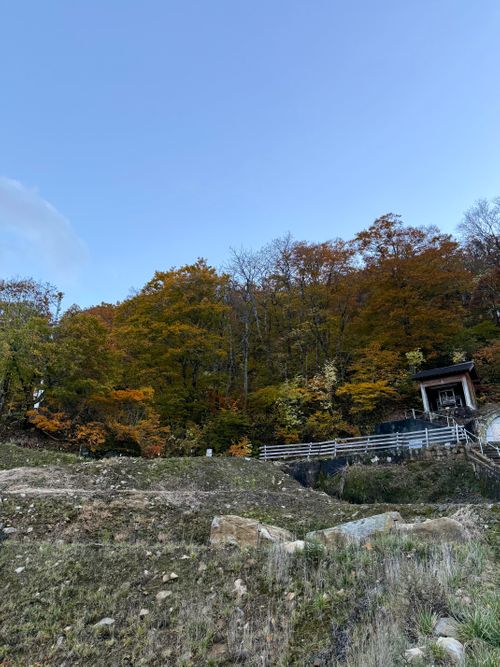 紅葉キャンプ、二泊三日、デュオ 五色温泉オートキャンプ場 ファミリーキャンプ フリーサイト トリッディさんのキャンプブログ CAMPiii（キャンピー） -キャンプ専用SNS キャンプのすべてがここに集まる-