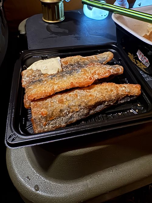 2026「旅する古本屋」のっそり始動 casano-va笠の場 ソロキャンプ フリーサイト ぱぱちょさんのキャンプブログ CAMPiii（キャンピー） -キャンプ専用SNS キャンプのすべてがここに集まる-