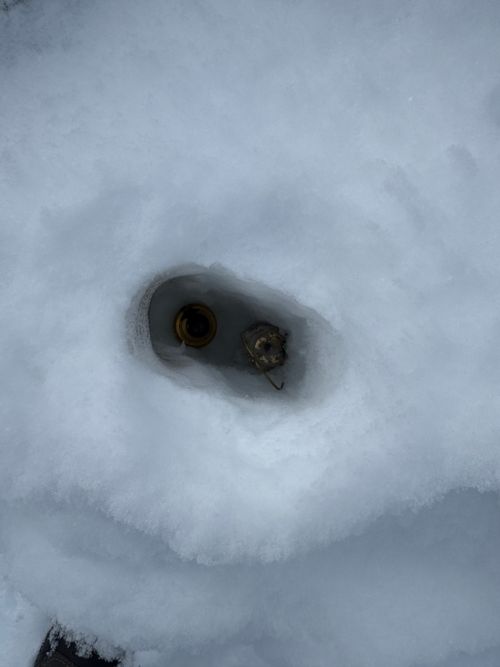 ひらせ雪中 白川郷ひらせ温泉キャンプサイト グループキャンプ フリーサイト atelierさんのキャンプブログ CAMPiii（キャンピー） -キャンプ専用SNS キャンプのすべてがここに集まる-