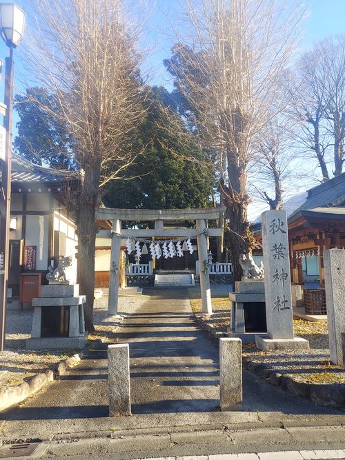 気まぐれで秩父まで⛺ ともえ川Park ソロキャンプ 区画サイト ひろ16さんのキャンプブログ CAMPiii（キャンピー） -キャンプ専用SNS キャンプのすべてがここに集まる-