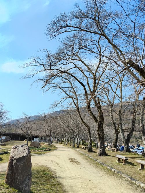 3連休初日　徒歩キャン 笠置キャンプ場 ソロキャンプ フリーサイト おっとまんSさんのキャンプブログ CAMPiii（キャンピー） -キャンプ専用SNS キャンプのすべてがここに集まる-