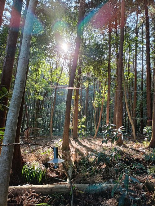 CAMPiii（キャンピー） Kazu Aさんのキャンプブログ キャンプというよりも、、、焚火をしに。 Freedom