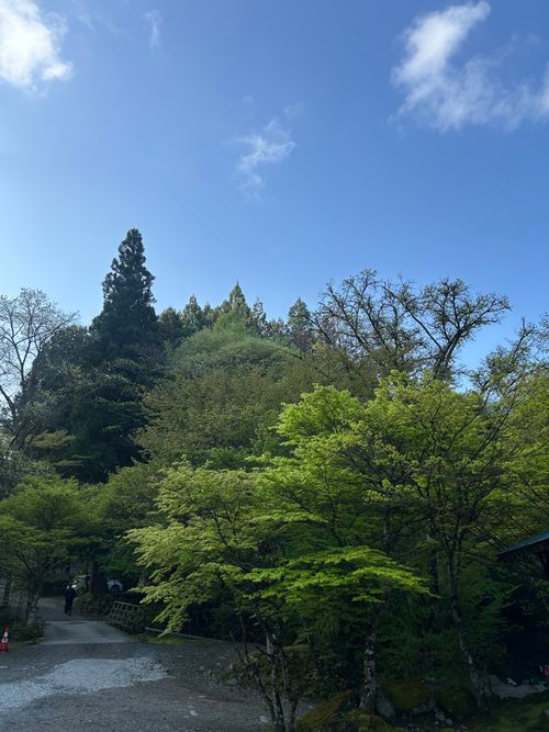 久しぶりのソロキャンプ🏕️ 道志の森キャンプ場 ソロキャンプ フリーサイト Genさんのキャンプブログ CAMPiii（キャンピー） -キャンプ専用SNS キャンプのすべてがここに集まる-