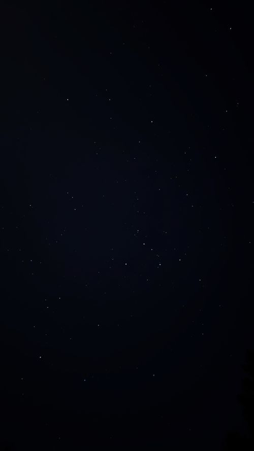 霜月最高のスタートキャンプ🫶 グランピングKAWASAKI懐かしの森 ファミリーキャンプ 区画サイト オートサイト はるかさんのキャンプブログ CAMPiii（キャンピー） -キャンプ専用SNS キャンプのすべてがここに集まる-