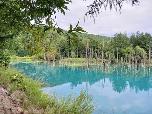 北海道の旨い!を食べるC△mp旅’ 2025(1 of 4) 北海道 ファミリーキャンプ キャンピングカー vios outdoor'sさんのキャンプブログ CAMPiii(キャンピー) -キャンプ専用SNS キャンプのすべてがここに集まる-