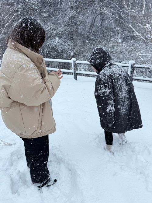 妻の読みは素晴らしい！友人家族と2026年キャンプ初め♪ 鮎の里公園キャンプ場 ファミリーキャンプ グループキャンプ 区画サイト Como_outdoorさんのキャンプブログ CAMPiii（キャンピー） -キャンプ専用SNS キャンプのすべてがここに集まる-